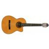 De Filipe 44Cut EQ classical electric guitar