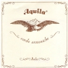 Aquila Classic Guitar Set 10-strings, F#G#A#B#BADgbe, SNyl & SC