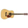 Burton W-24/N-12 acoustic guitar 12str.