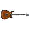 Richwood RE131 VS electric guitar Performer Std