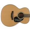 Takamine EG220NS acoustic guitar