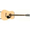 EverPlay D-14 BK acoustic guitar