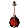 Stagg M-50 E electric acoustic mandolin