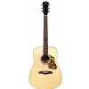 Levinson LD-35  acoustic guitar