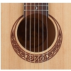 Luna Gypsy Parlor acoustic guitar
