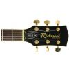 Richwood RE125 TS electric guitar LP