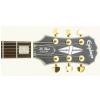 Epiphone Les Paul Custom Plus HCSH electric guitar