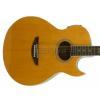 Elypse Naomi acoustic-electric guitar