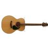 Takamine G220NS acoustic guitar