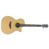 BatonRouge R32 T2 CE acoustic guitar with EQ