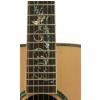 Baton Rouge RZ LTD 052 acoustic guitar