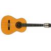 Sanchez S-1024 classical guitar