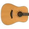 Baton Rouge R30 Fisch acoustic guitar
