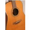 Furch DD20-CM acoustic guitar