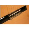 EverPlay EP-100 classical guitar with bag