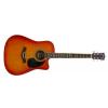 Burton W-0C/CS acoustic guitar cutaway