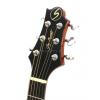 Samick D2 N acoustic guitar