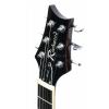 Richwood RE131 VS electric guitar Performer Std