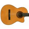 De Filipe 44Cut EQ classical electric guitar