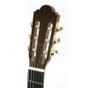 Baton Rouge LM5 Speci Cut P classical guitar