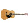 Richwood RD12 N acoustic guitar W./Dreadnought