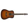 Baton Rouge L6 AB acoustic guitar