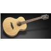 Framus FJ 14 SMV - Vintage Transparent Satin Natural Tinted (12-string) acoustic guitar