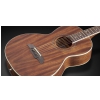 Framus FP 14 M - Natural Transparent Satin acoustic guitar