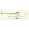 Yamaha YTR 5335GS trumpet Bb, silver plated (with case)