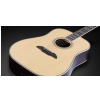 Framus FD 28 JN SR VSNT  - Jorg Nassler Signature - Vintage Transparent Satin Natural Tinted acoustic guitar