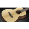 Framus FP 14 SV VSNT - Vintage Transparent Satin Natural Tinted acoustic guitar