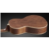Framus FP 14 M - Natural Transparent Satin acoustic guitar