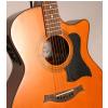 Baton Rouge 24 Cut EQ acoustic-electric guitar