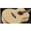 Framus FJ 14 SMV - Vintage Transparent Satin Natural Tinted acoustic guitar