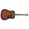 Richwood RD12 SB acoustic guitar W./Dreadnought