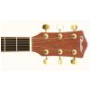 T.Burton W-34C/N acoustic guitar cutaway