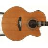 Dowina JCE555 acoustic guitar with EQ Dowina JCE555 acoustic guitar with EQ