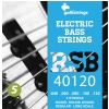 Galli RSB40120 bass guitar strings