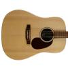 Martin DX-1 acoustic guitar