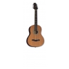 Samick ST6-1 acoustic guitar