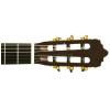 Baton Rouge LM5 SM58 classical guitar