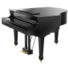 Roland GP609 PE digital piano
