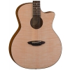 Luna Gypsy Exotic Flame - acoustic guitar