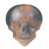 HotPicks LP24 Flame Skull guitar pick