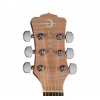 Luna Gypsy Exotic Flame - acoustic guitar