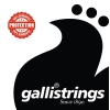 Galli RSB40100 - bass guitar strings