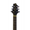Samick D4 TR acoustic guitar