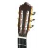 Baton Rouge LM9CUT-EQ classical electric guitar
