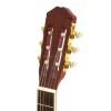 Rosario MCS-6562 classical guitar, solid top