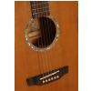 Dowina D2016 acoustic guitar